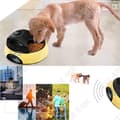 Miniatyrbild 3 av 4: TD® Automatisk skål Torrfoder Dispenser Programmerbar Pet Cat Hund Fyra måltid vatten kanin Recorder