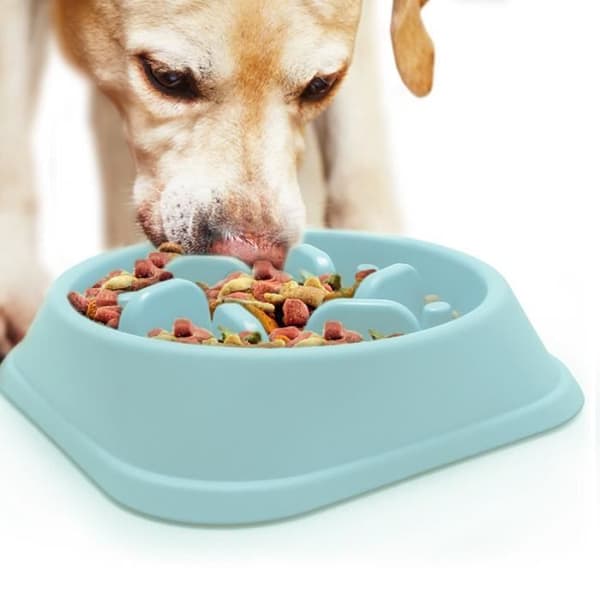 igadgitz Home U6711 Anti Glutton Hundskål Slow Labyrinth Matningsskål för katthundsdjur