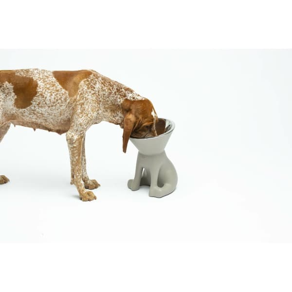 Hundmatare United Pets Up Elisabeth Grå Rostfritt stål Polyetylen 1 L