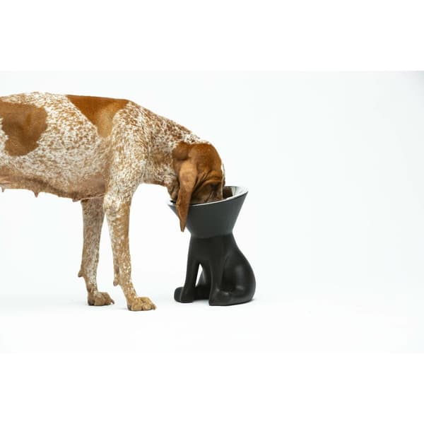 Hundmatare United Pets Up Elisabeth Svart Rostfritt stål Polyetylen 1 L