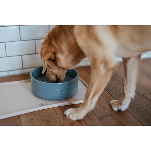Hundmatare Hunter OSBY GLAZED Blå Keramik 2,5 L