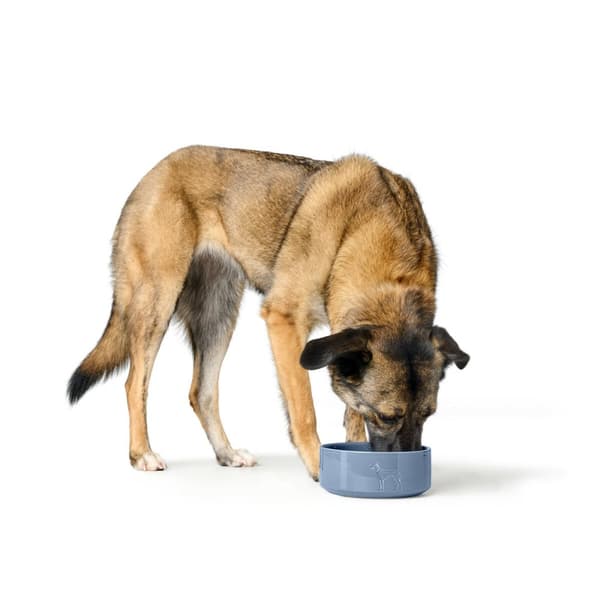 Hundmatare Hunter OSBY GLAZED Blå Keramik 2,5 L