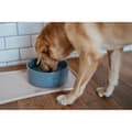 Miniatyrbillede 4 af 4: Hund Feeder Hunter OSBY GLAZED Blå Keramik 1,9 L