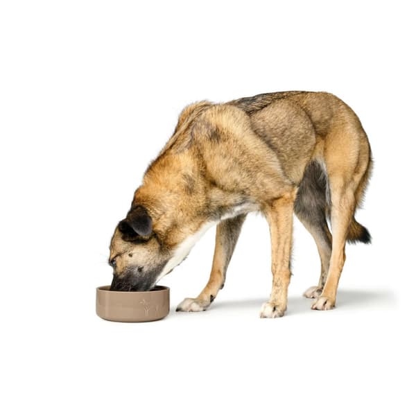 Hundmatare Hunter OSBY