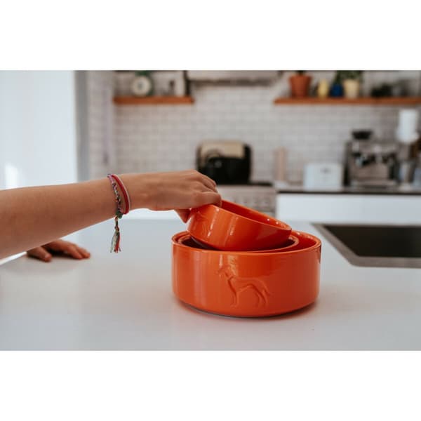 Hundmatare Hunter OSBY Orange