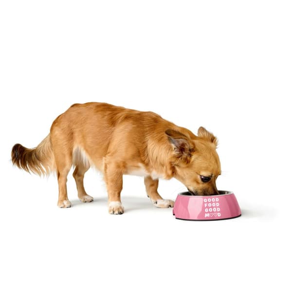 Hundmatare Hunter CHESTER Rosa 700 ml