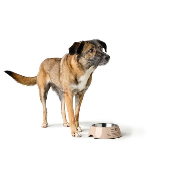 Hundmatare Hunter LUTON 350 ml