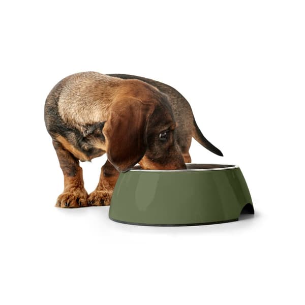 Hundmatare Hunter Grön 160 ml