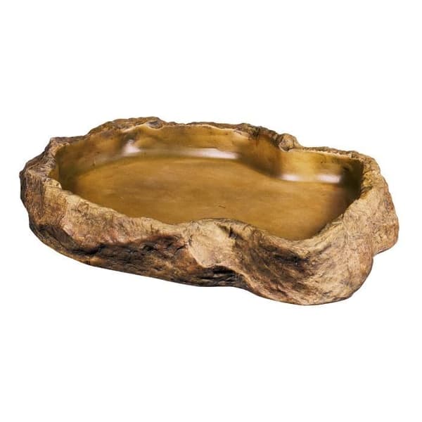 Stor modell av reptilskål