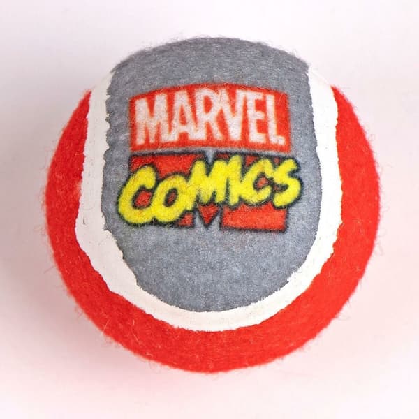 Lahjasetti Marvel Monivärinen 21,0 x 21,0 x 8,8 cm Koira