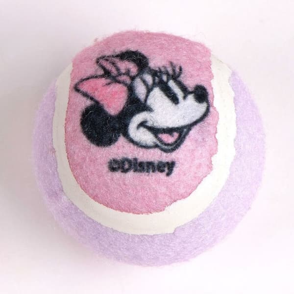 Lahjasetti Minnie Mouse Pinkki 21,0 x 21,0 x 8,8 cm Koira