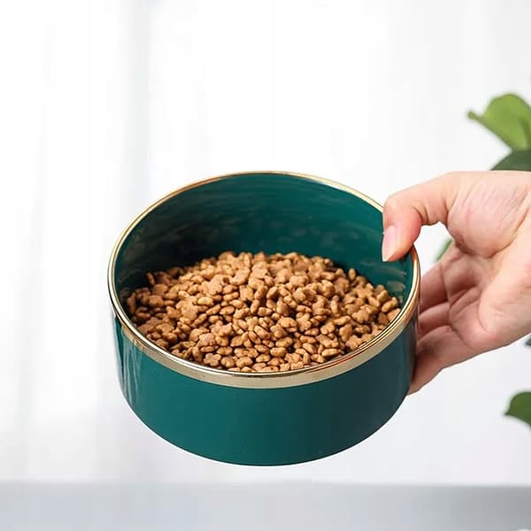 DUBBEL KERAMISK HUND- OCH KATTSKÅL 2 x 850 ml PÅ GLAMOURSTÄLL
