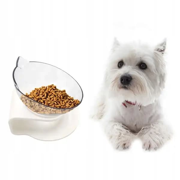 SKÅL PÅ STATIV TIL KATTEHUND TIL MADER VAND ENKEL 320ml
