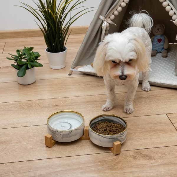 KERAMISKE SKÅLE PÅ STAT DOBBELT KERAMISK SKÅL TIL HUNDE OG KAT 2x850 ml