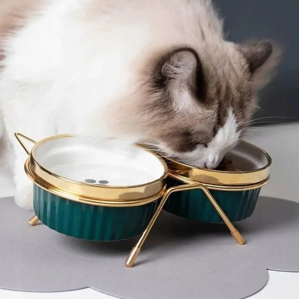 DOBBELT KERAMISKE SKÅLE TIL KATTE OG HUNDE SKÅLE PÅ STATIV 2x300ML