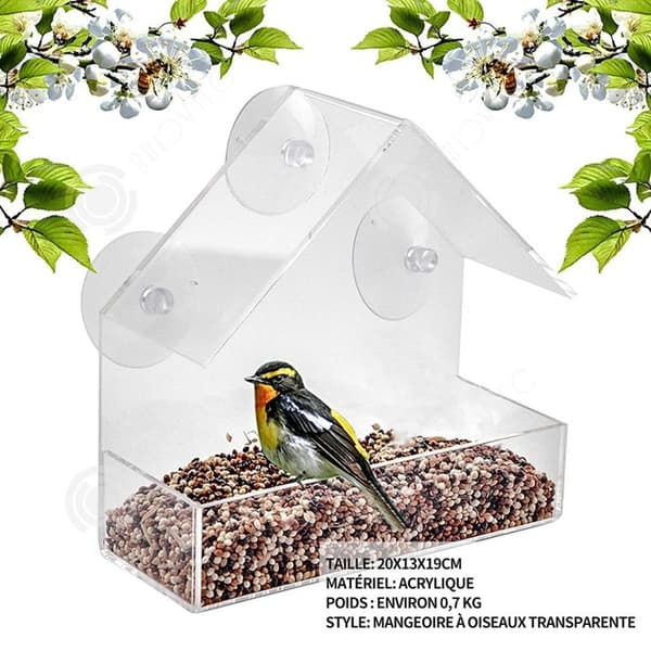 INN Transparent fågelmatare 20×13×19cm för windows fågelmatare i akryl med 4 sugkoppar med fröhållare fågelmatare