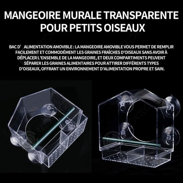 INN Transparent fågelmatare 20×13×19cm för windows fågelmatare i akryl med 4 sugkoppar med fröhållare fågelmatare
