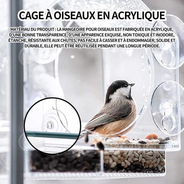 INN Transparent fågelmatare 20×13×19cm för windows fågelmatare i akryl med 4 sugkoppar med fröhållare fågelmatare