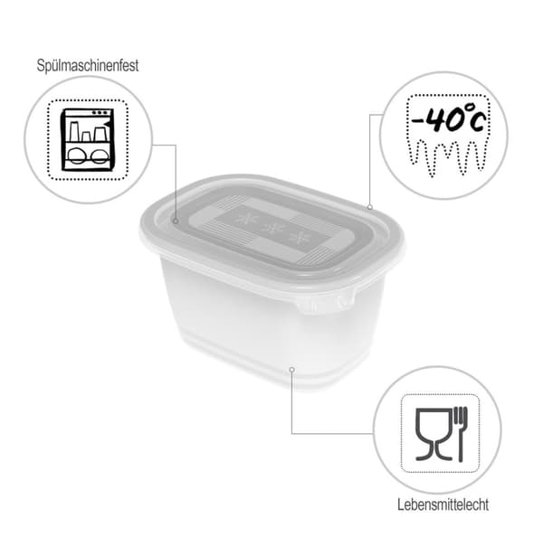 ROTHO Freeze - frysbehållare - 4x750ml