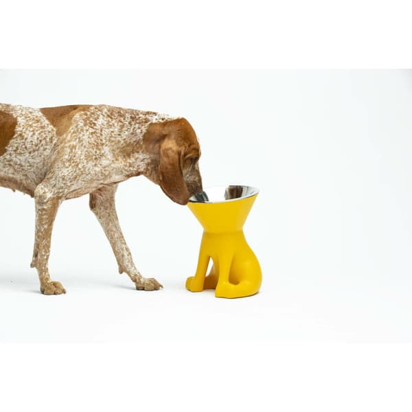 Hundmatare United Pets Elisabeth Yellow Rostfritt stål Polyetylen 1 L