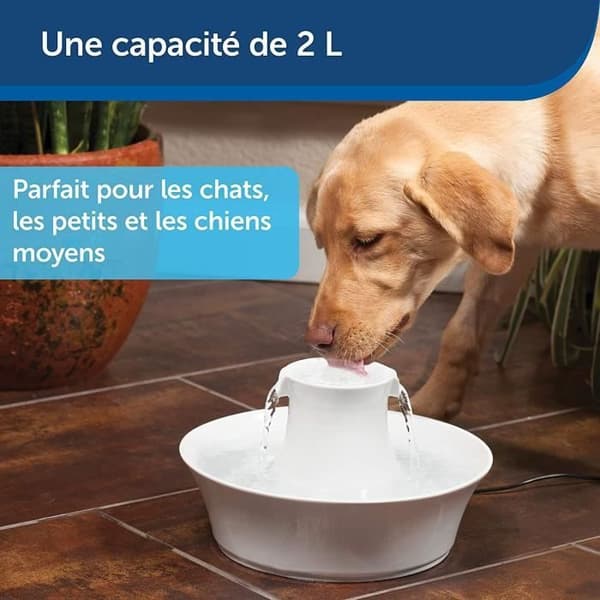 PetSafe - Drinkwell Avalon Ceramic Fountain, filtrerat dricksvatten för hundar och katter, 2 liters vattenkapacitet, vit