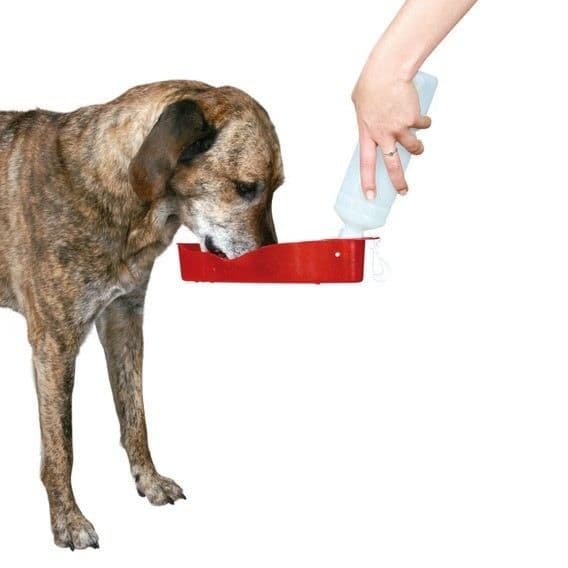 Resorvattensdispenser - TRIXIE - Resorvattensdispenser - Hund - Plast - 250ml