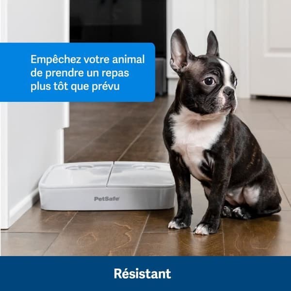 Automatisk matdispenser - PETSAFE - 2 måltider - BPA-fri plast - 300g kapacitet - Justerbar timer