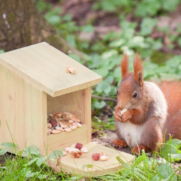 Relaxdays Wooden Squirrel Feeder HxBxD: 17,5 x 12 x 25 cm Heavy Duty Solid, Green