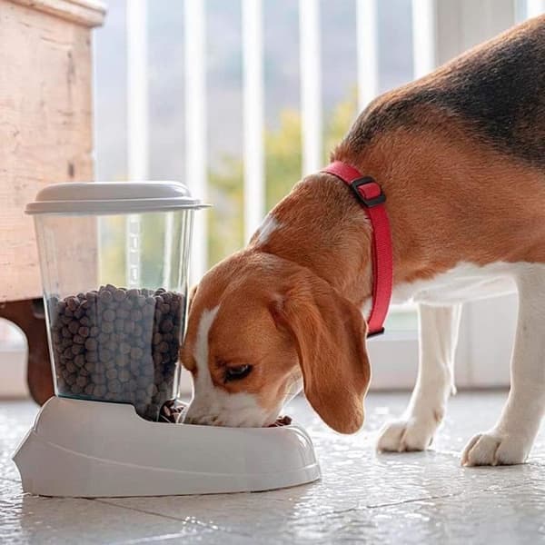 FERPLAST Zenith 3L livsmedelsdispenser av plast - 29,2x20,2x28,8 - Vit - Hund och katt