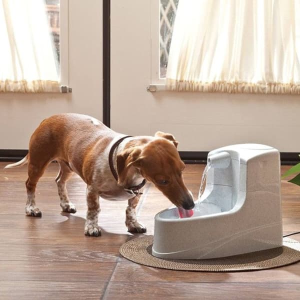 Drinkwell Mini 1,2L vattenfontän för hundar och katter - Petsafe - Grå - Plast - Utomhus
