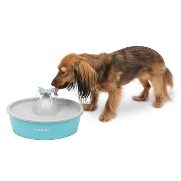 Fontän för djur - PETSAFE - Drinkwell Papillon - 1,5 L - Blå och Grå - Inomhus