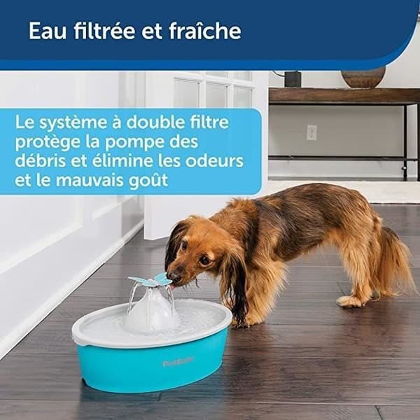 Fontän för djur - PETSAFE - Drinkwell Papillon - 1,5 L - Blå och Grå - Inomhus