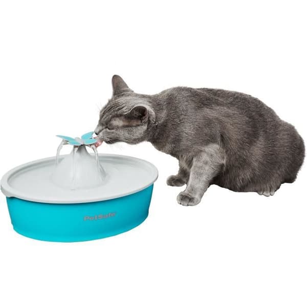 Fontän för djur - PETSAFE - Drinkwell Papillon - 1,5 L - Blå och Grå - Inomhus
