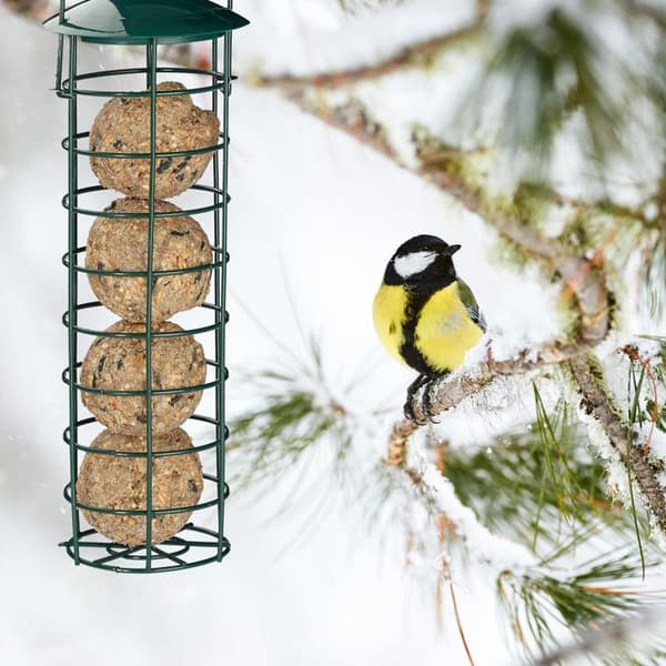 Relaxdays Häckningsmatare för fåglar att hänga upp, föda för fåglar, med tak, järn; 31 cm, mörkgrön