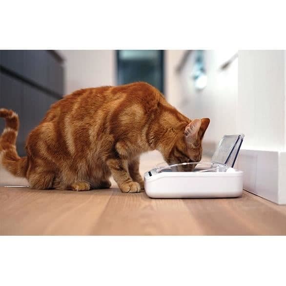 SUREFEED Anti-Odor Automatic Cat Food Dispenser - Vit (levereras med enkel skål)