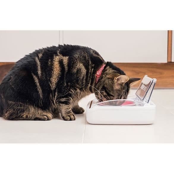 SUREFEED Anti-Odor Automatic Cat Food Dispenser - Vit (levereras med enkel skål)
