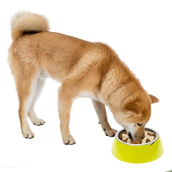 Hund- och kattskål Ferplast Jolie