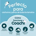 Miniatyrbild 2 av 8: Bag Coachi Train & Treat Blå
