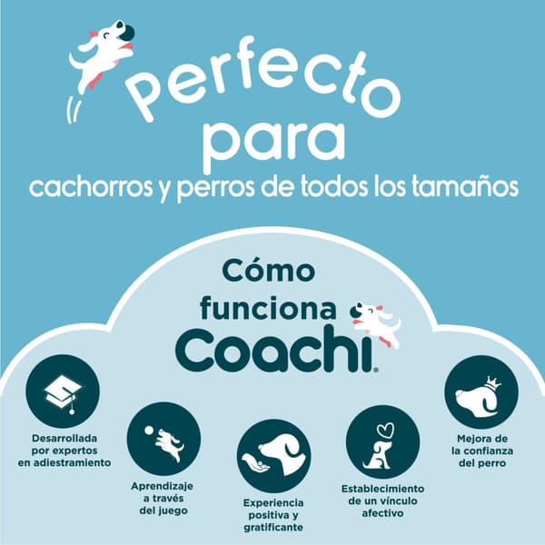 Bag Coachi Train & Treat Korall