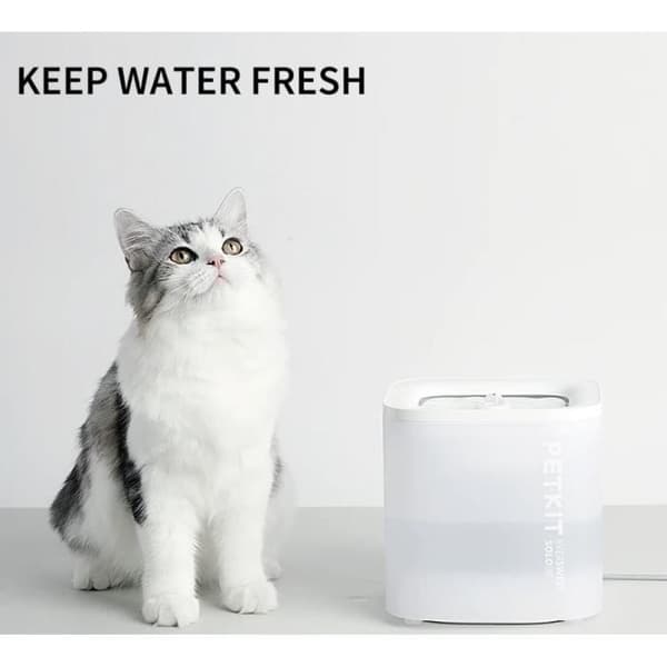 PETKIT Eversweet Solo SE Water Fountain - Vit - 60oz/1,8L - Tyst och säker