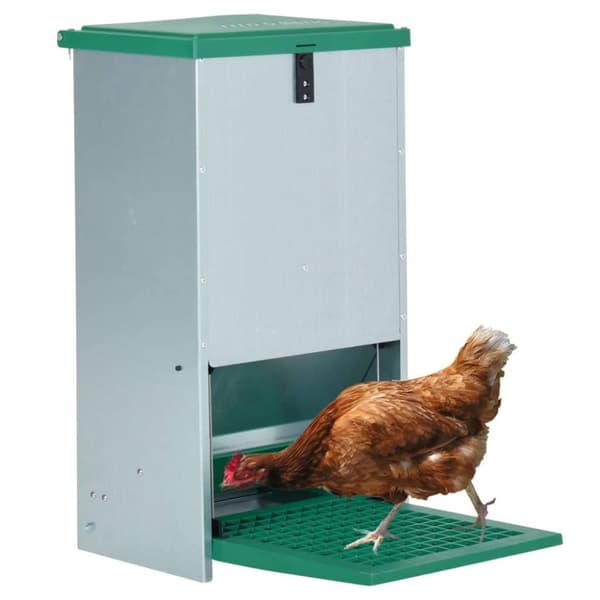 Foderautomat för fjäderfä med pedal 20 kg