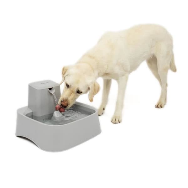 PetSafe - Fontaine Drinkwell 7,5 liter för Stora Raser av Hundar/Flertalet Husdjur, Lätt att Rengöra och