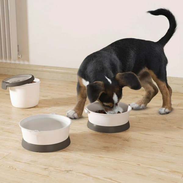 Hopvikbar matskål för Husdjur Curver Plast 19 x 8 x 18 cm (6 antal)