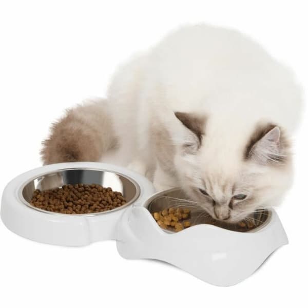 Hund Feeder Catit