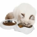 Miniatyrbillede 2 af 4: Hund Feeder Catit
