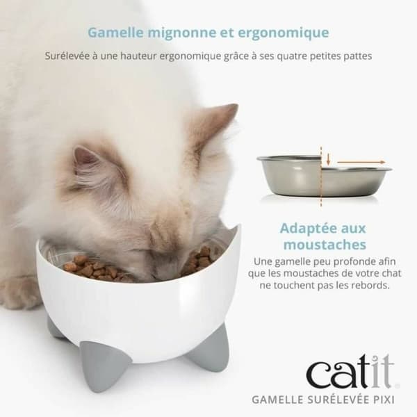 Hund Feeder Catit