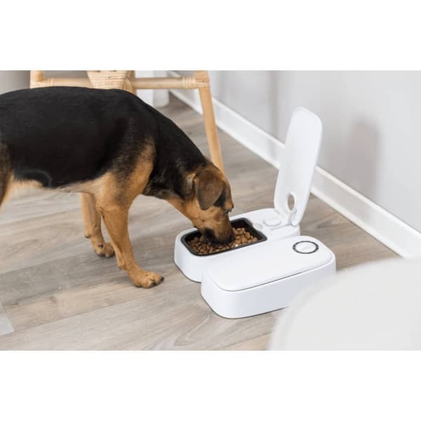 TRIXIE TX2 automatisk matare 24372 Svart, Vit