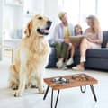 Miniatyrbild 3 av 6: Relaxdays Hundskålsset, rostfritt stål, med brunt akaciaträställ, 1200 ml, HLP 23x49,5x25 cm