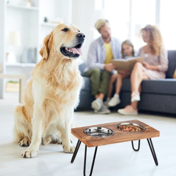 Relaxdays Hundskålsset, rostfritt stål, med brunt akaciaträställ, 1200 ml, HLP 23x49,5x25 cm