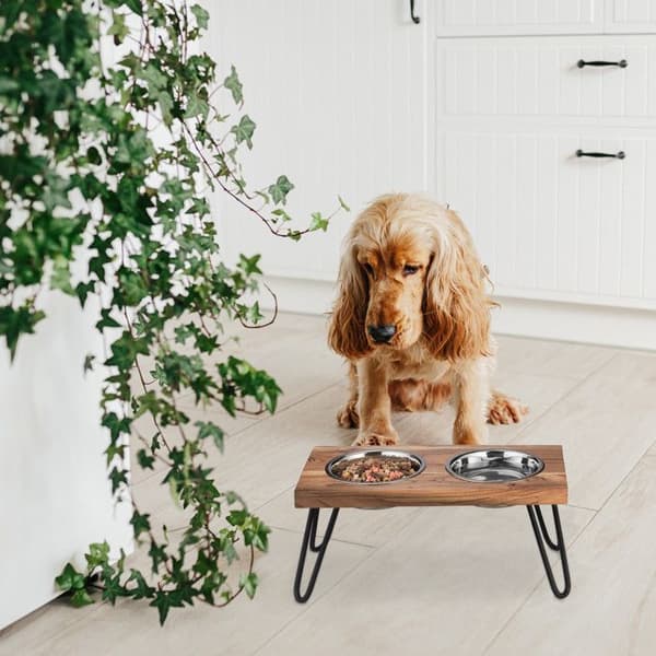 Relaxdays Hundskålsset, rostfritt stål, med brunt akaciaträställ, 1200 ml, HLP 23x49,5x25 cm